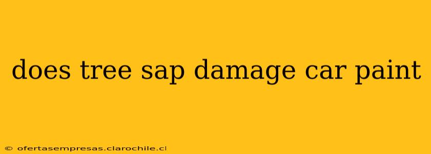 does tree sap damage car paint