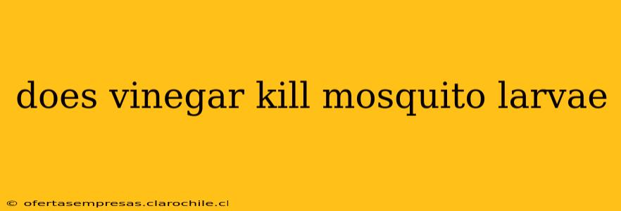 does vinegar kill mosquito larvae