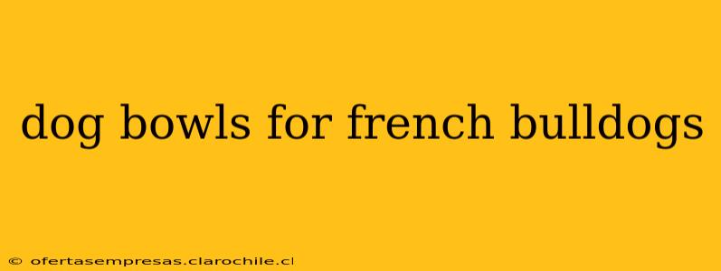 dog bowls for french bulldogs