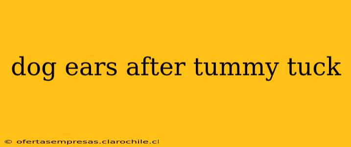 dog ears after tummy tuck