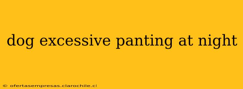 dog excessive panting at night