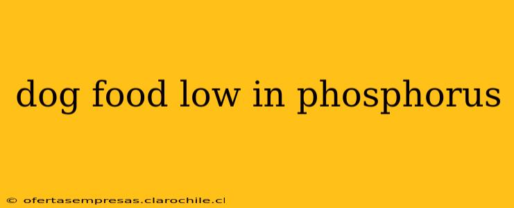 dog food low in phosphorus