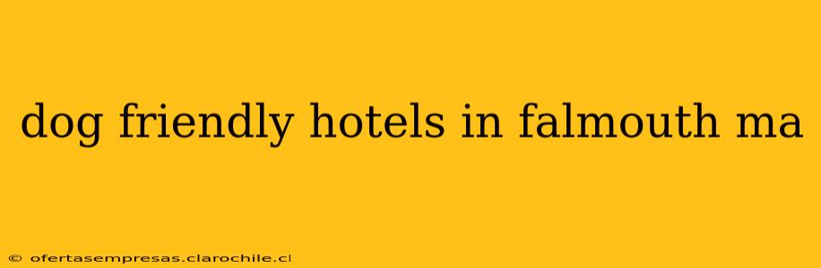 dog friendly hotels in falmouth ma
