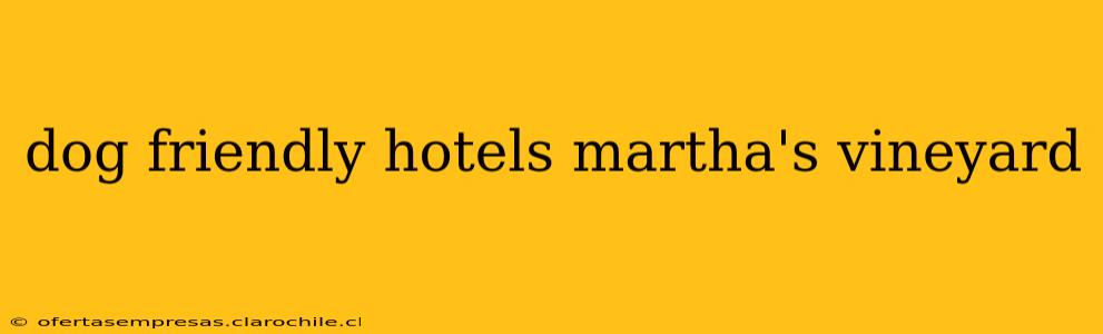 dog friendly hotels martha's vineyard