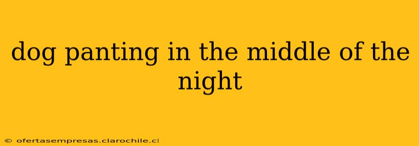 dog panting in the middle of the night