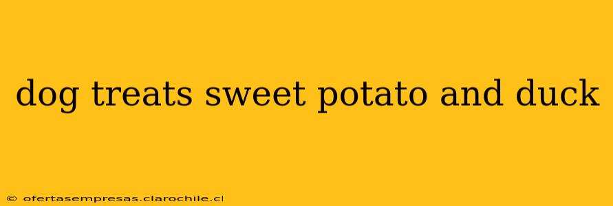dog treats sweet potato and duck