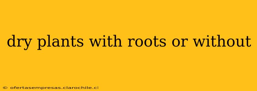 dry plants with roots or without