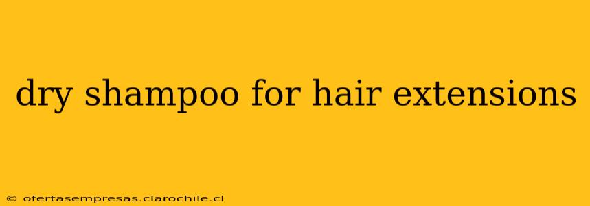 dry shampoo for hair extensions