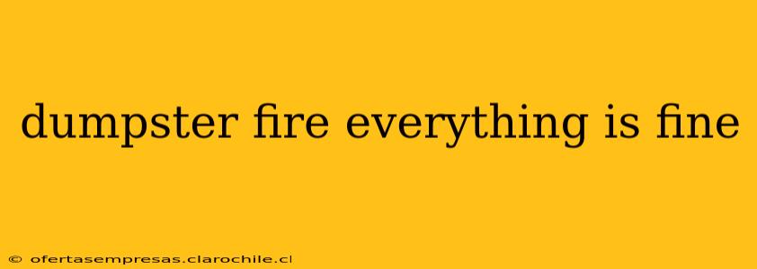 dumpster fire everything is fine