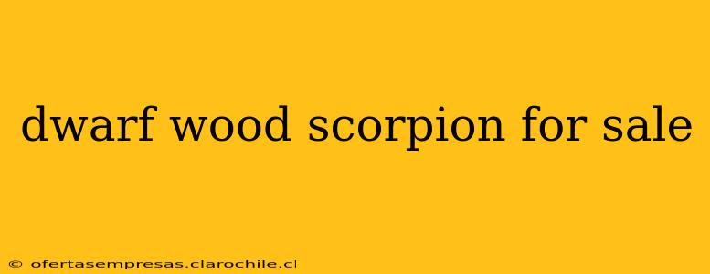 dwarf wood scorpion for sale