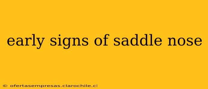 early signs of saddle nose