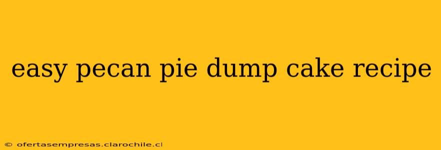 easy pecan pie dump cake recipe