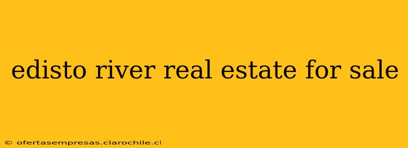 edisto river real estate for sale