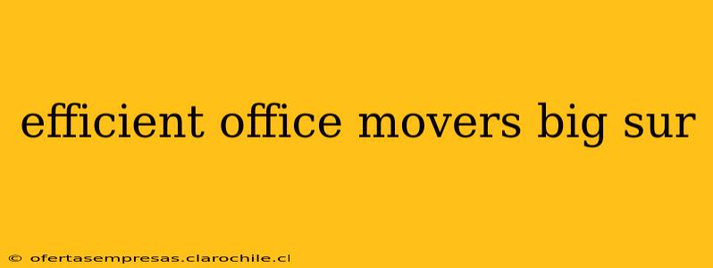 efficient office movers big sur