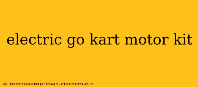 electric go kart motor kit