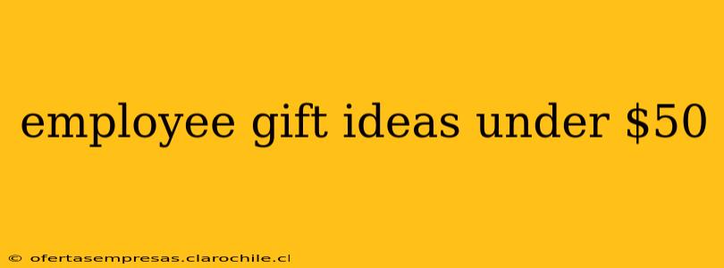 employee gift ideas under $50