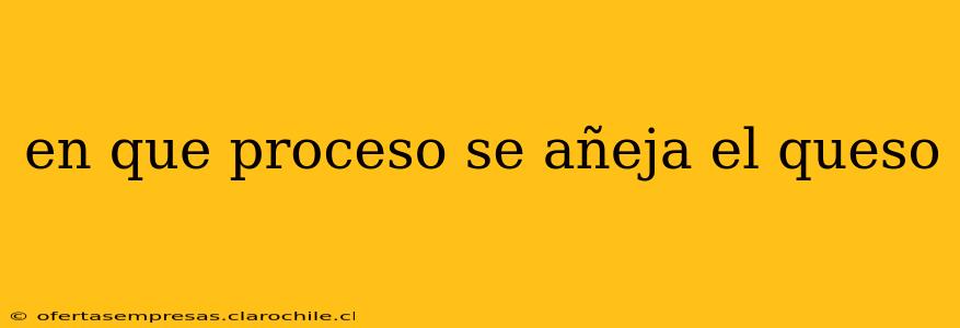 en que proceso se añeja el queso