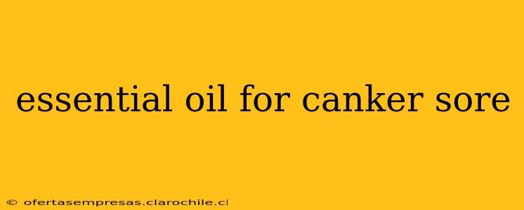 essential oil for canker sore