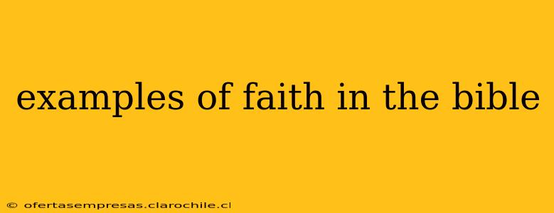 examples of faith in the bible