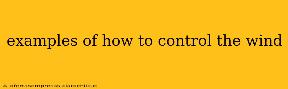 examples of how to control the wind