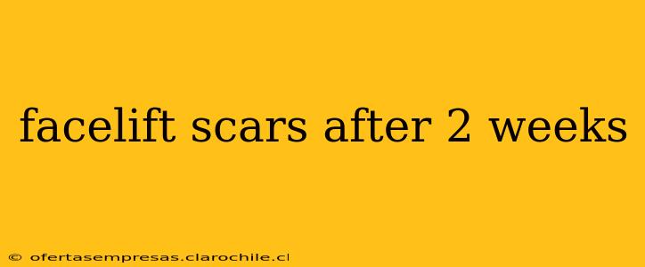 facelift scars after 2 weeks