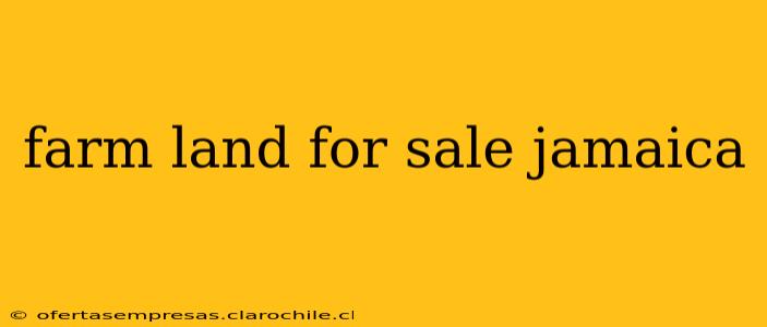 farm land for sale jamaica