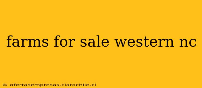 farms for sale western nc