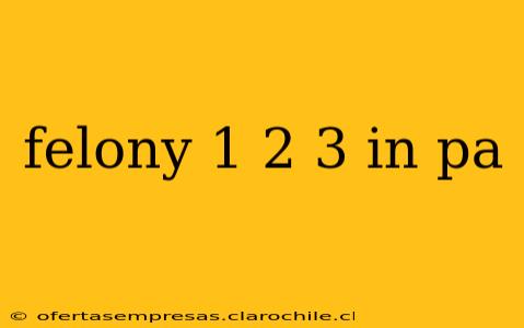 felony 1 2 3 in pa