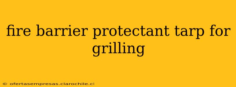 fire barrier protectant tarp for grilling