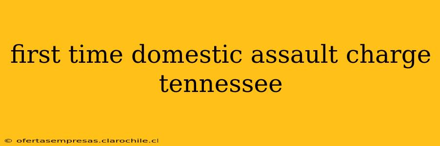 first time domestic assault charge tennessee