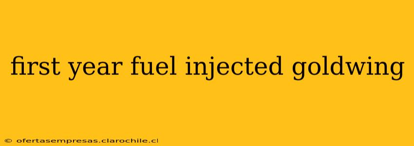 first year fuel injected goldwing