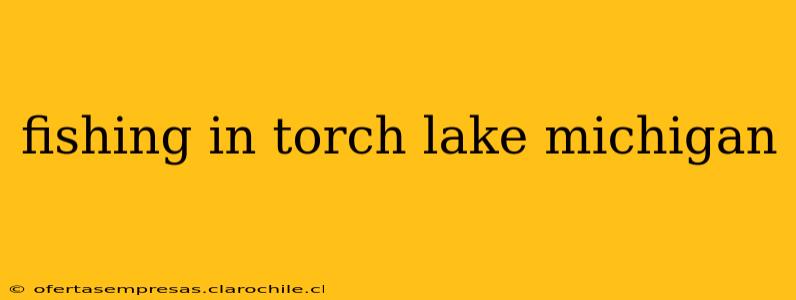 fishing in torch lake michigan