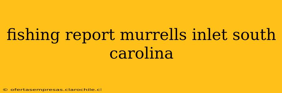 fishing report murrells inlet south carolina