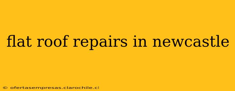 flat roof repairs in newcastle