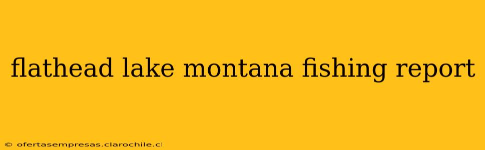 flathead lake montana fishing report