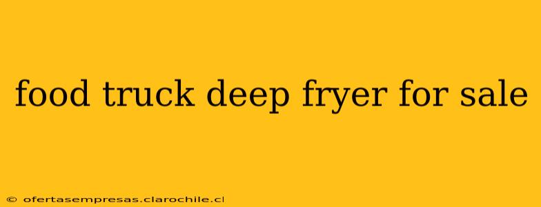 food truck deep fryer for sale