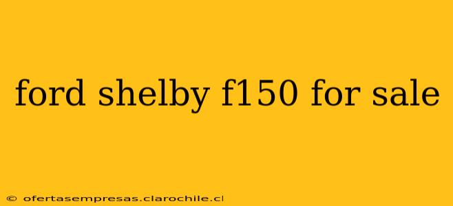 ford shelby f150 for sale