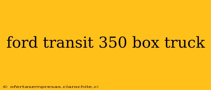 ford transit 350 box truck