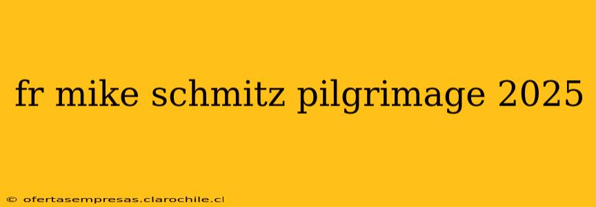 fr mike schmitz pilgrimage 2025