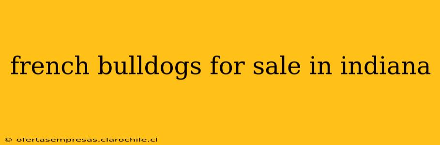 french bulldogs for sale in indiana
