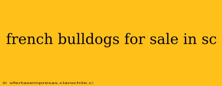 french bulldogs for sale in sc