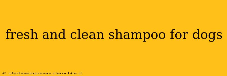 fresh and clean shampoo for dogs