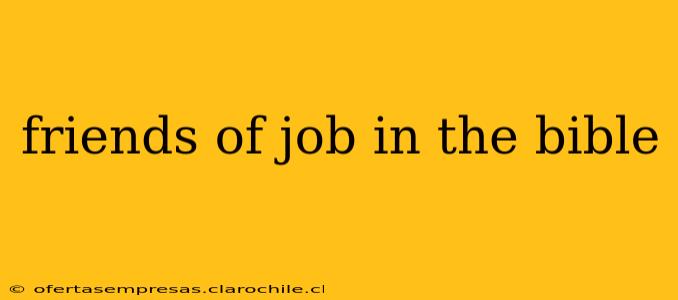 friends of job in the bible
