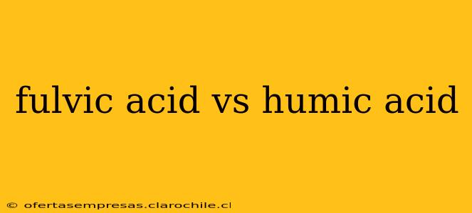 fulvic acid vs humic acid