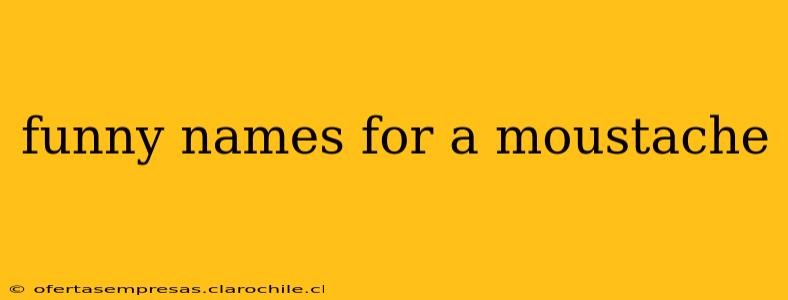 funny names for a moustache