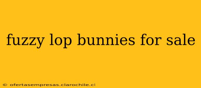 fuzzy lop bunnies for sale