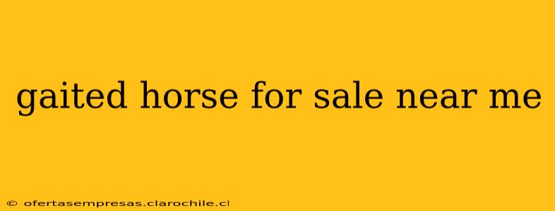 gaited horse for sale near me
