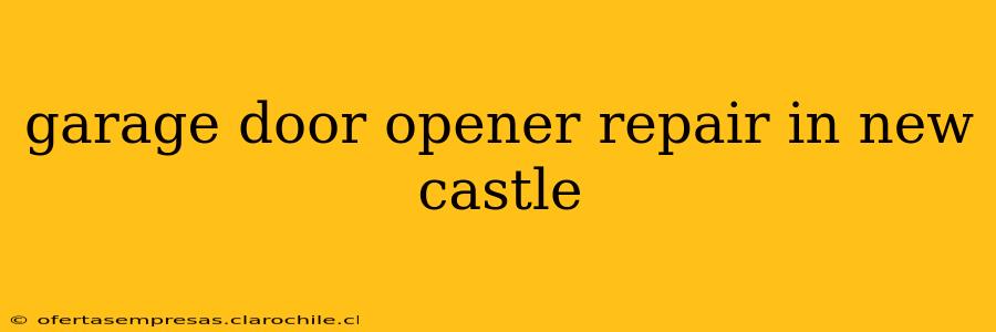 garage door opener repair in new castle