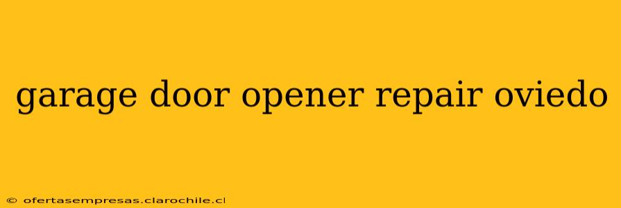 garage door opener repair oviedo
