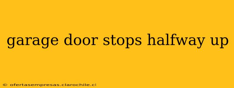 garage door stops halfway up